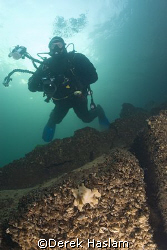 Mr T. With freshwater sponge. Stoney cove. D200, 10.5mm. by Derek Haslam 
